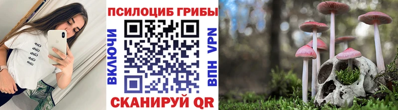 Галлюциногенные грибы Magic Shrooms ссылка на мегу tor darknet какой сайт Урюпинск